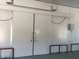 Industrial Cold Storage Door