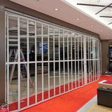 Glass Folding Door